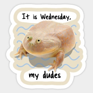 It is Wednesday my Dudes V4 Sticker